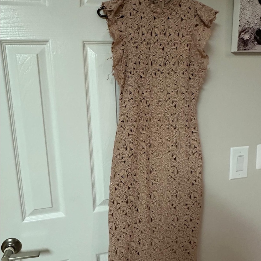Zara Long Sleeve Lace Dress in Beige